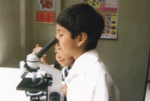 Colegio Hum&aacute;nitas