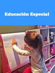 Educaci&oacute;n especial